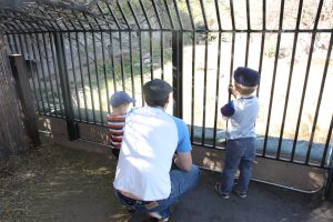 IMG_0707