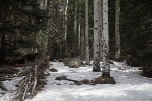 20180324snowday-25