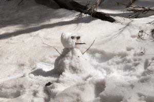 20180324snowday-50