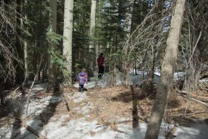 20180324snowday-62